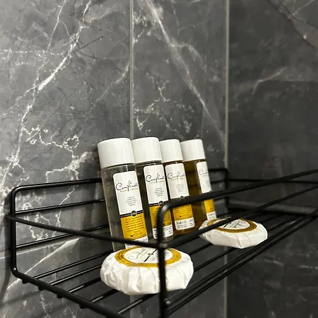 Rea Elita - Fresh And Modern