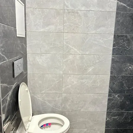 Rea Elita - Fresh And Modern *