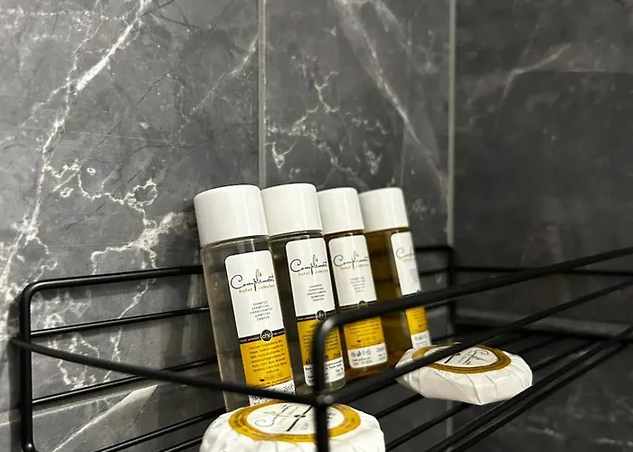 Rea Elita - Fresh And Modern