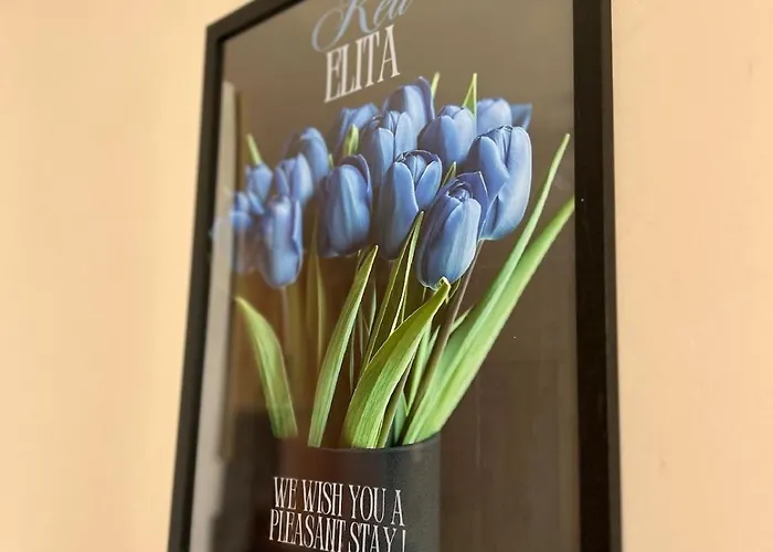 Rea Elita - Fresh And Modern *