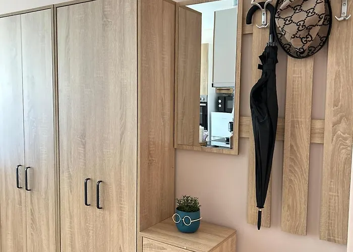 Rea Elita - Fresh And Modern *