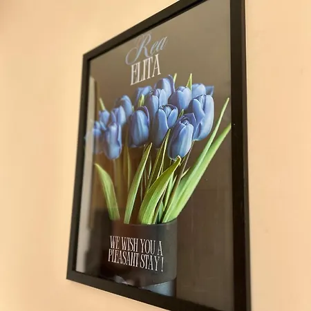 Rea Elita - Fresh And Modern *